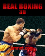 game pic for Gameballs Studio Real Boxing 3D SE